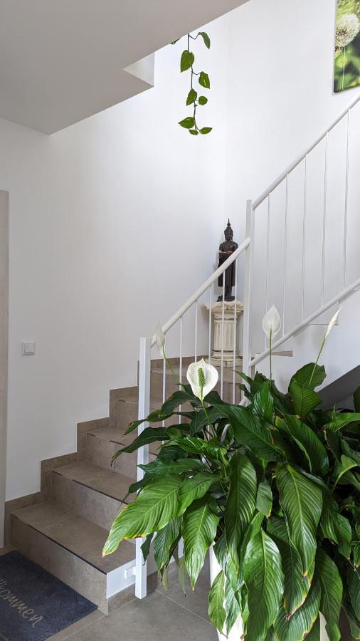 Gaestehaus Freystadt Esterno foto