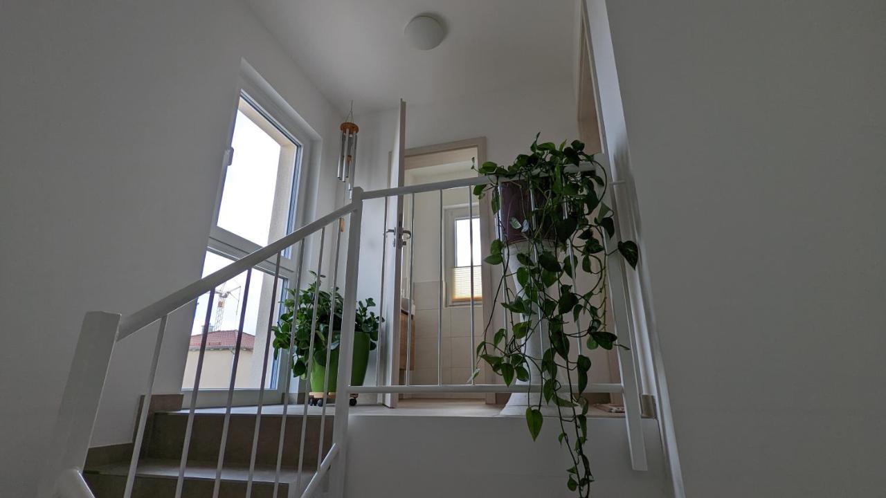 Gaestehaus Freystadt Esterno foto